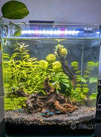 Acuario Blau Cubi Panoramic 32L