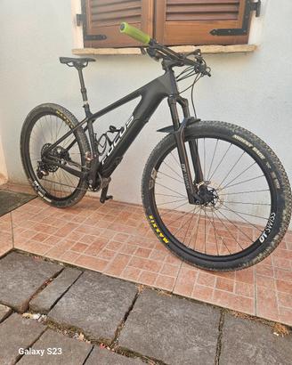 e-mtb 29 Focus Raven 2