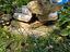 Immagine 2