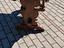 Immagine 4