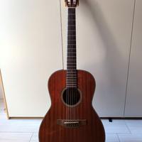 Chitarra acustica Takamine