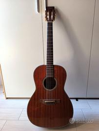 Chitarra acustica Takamine