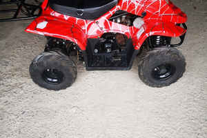 Quad 125 cc con retromarcia