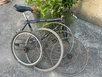 Telaio bici e ruote