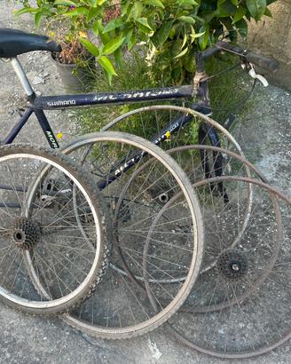 Telaio bici e ruote