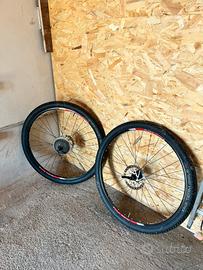 Ruote 29 Mtb