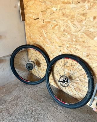 Ruote 29 Mtb