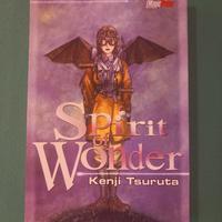 spirit of wonder kenji tsuruta magic press