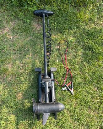 haswing cayman 55lb