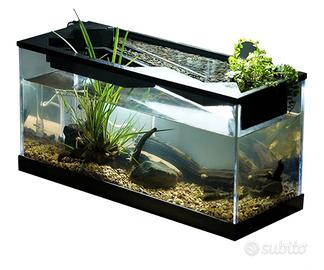 acquario per pesce