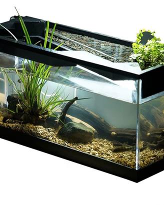 acquario per pesce