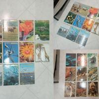 Enciclopedia " VITA DEGLI ANIMALI " Ed. CURCIO