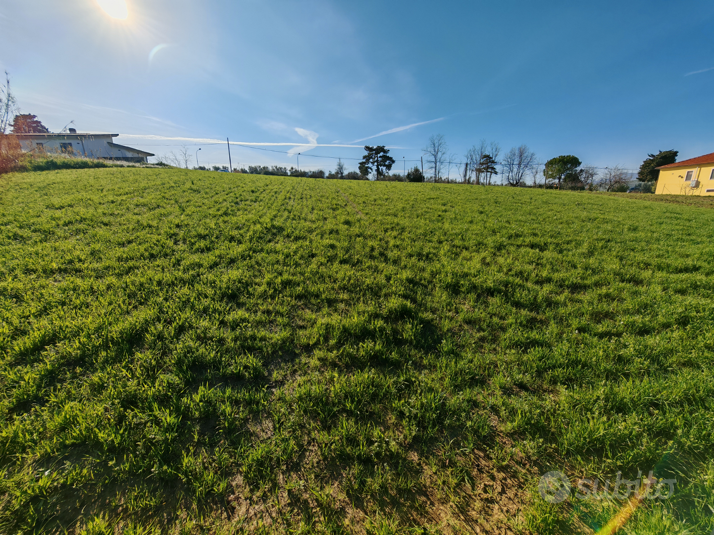 Terreno edificabile e agricolo - Vista 3