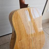 Chitarra acustica Washburn