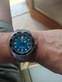 Citizen Promaster