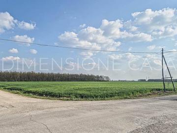 Terreno di 56500 m² a Camposanto