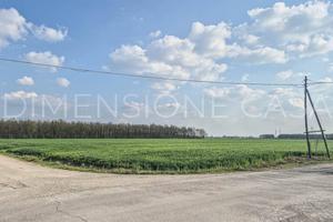Terreno di 56500 m² a Camposanto