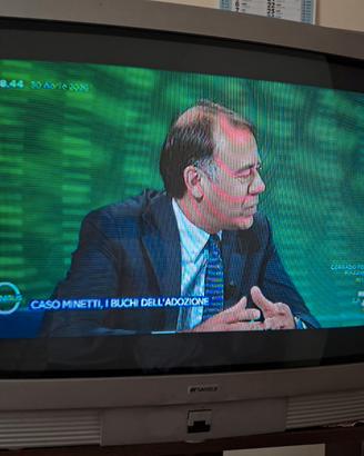 Tv Sansui 28" analogica