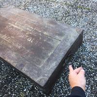 Baule