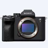 Sony A7 IV (ILCE-7M4) – 40.195 scatti