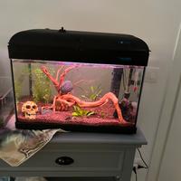 acquario 50 litri