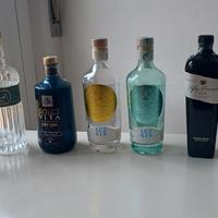 Bottiglie Gin da collezione o uso creativo