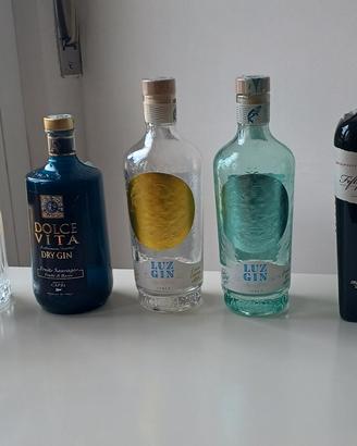 Bottiglie Gin da collezione o uso creativo