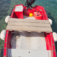 Boston whaler 13