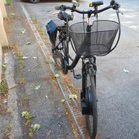 Bici Motorizzata con Imortor 3.0