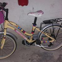 bicicletta