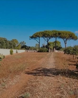 Terreno agricolo