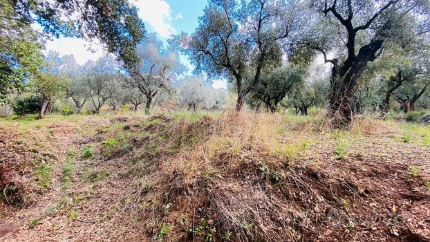 Terreno con fabbricato diruto