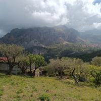 Terreno e caseggiato Militello Rosmarino (ME)