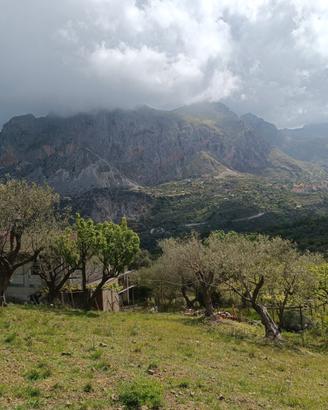 Terreno e caseggiato Militello Rosmarino (ME)