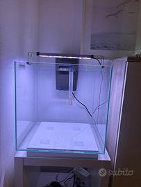 Acquario newa more 50