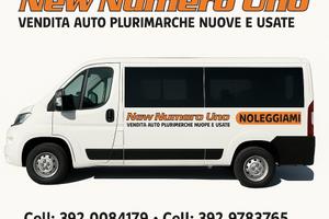 Fiat Ducato 35 2.2 Mjt 140cv 9 posti noleggio