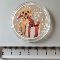 Moneta cane golden retriever dono