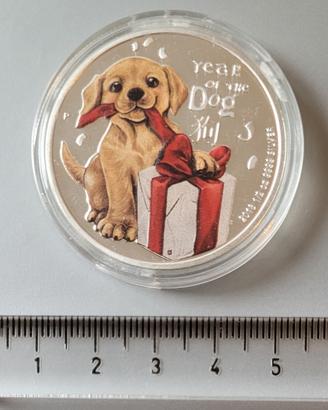 Moneta cane golden retriever dono