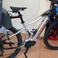 Ebike Olympia