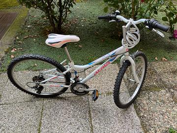 bicicletta