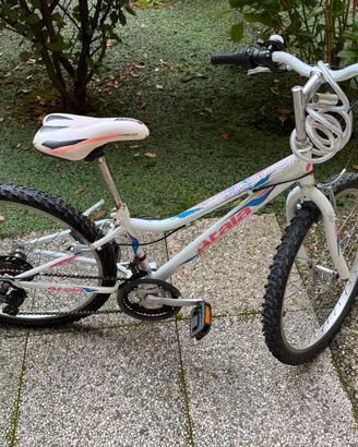 bicicletta