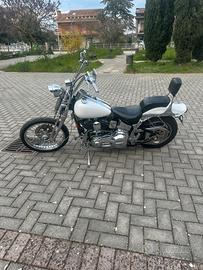 Harley Davidson Springer