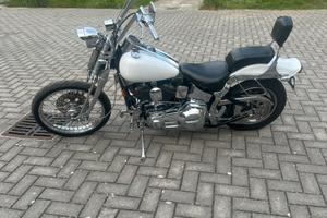 Harley Davidson Springer