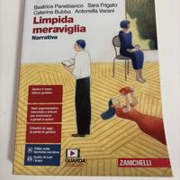 Limpida meraviglia narrativa 9788808220592