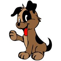 Pet sitter /dog sitter