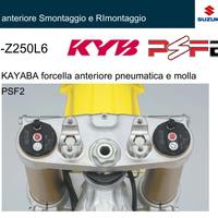 Manuali x forcelle ammortizzatori in italiano