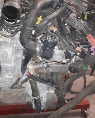 Motore Completo Opel Vivaro- 2008- 2000 Diesel - M