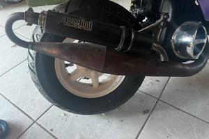 marmitte scooter