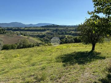 TER. AGRICOLO A MAGLIANO SABINA