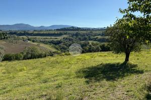 TER. AGRICOLO A MAGLIANO SABINA